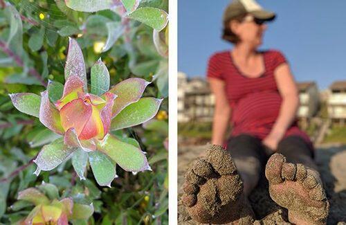 TIPS & TRICK PHOTOGRAPHY | Membuat Foto Bokeh di Kamera Smartphone #AslinyaLo