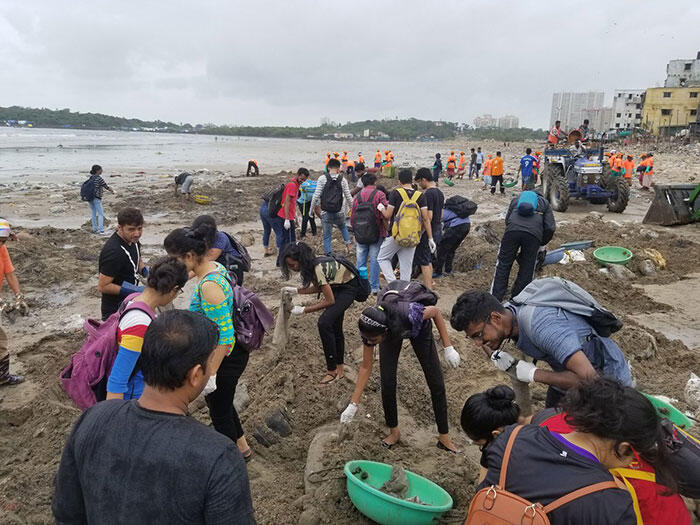 Setelah 20 Tahun, Akhirnya Penyu Kembali Ke Pantai Di India