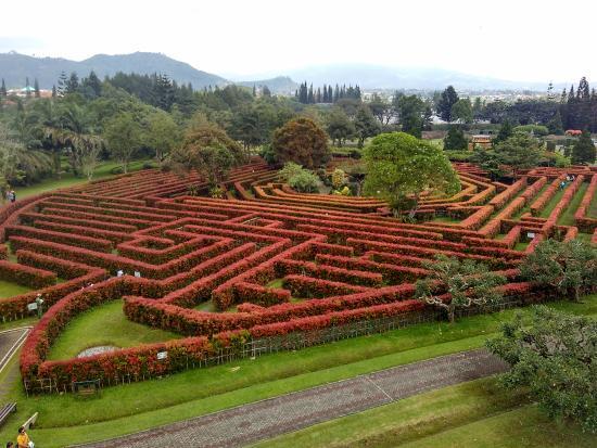 Serasa Main di Maze Runner, Inilah 5 Taman Labirin Terbaik di Indonesia