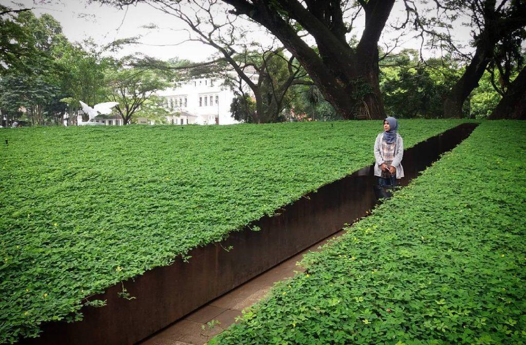 Serasa Main di Maze Runner, Inilah 5 Taman Labirin Terbaik di Indonesia