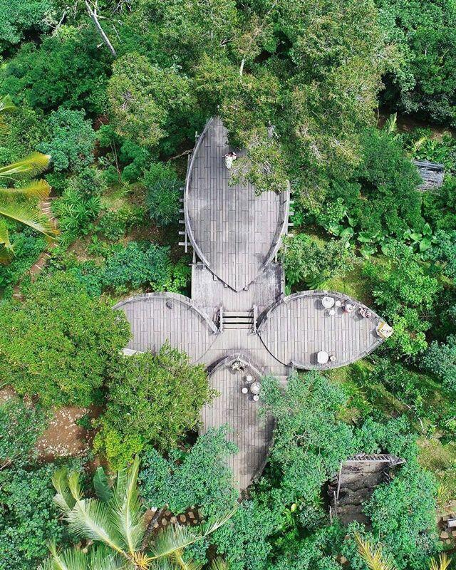Wisata Bali Pulina, Menikmati Kopi Sambil Memandang Sawah di Gianyar