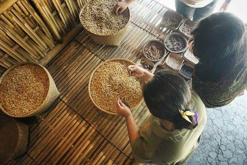 Wisata Bali Pulina, Menikmati Kopi Sambil Memandang Sawah di Gianyar