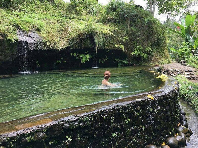 Wisata Bali Pulina, Menikmati Kopi Sambil Memandang Sawah di Gianyar