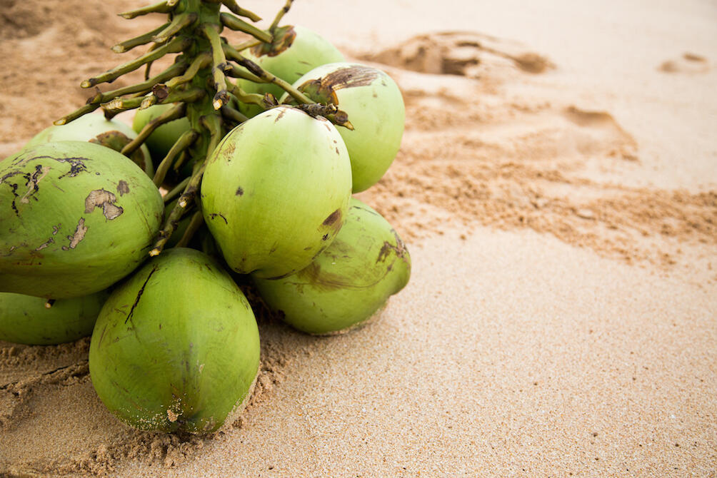 Dikenal Sehat, Ini 7 Kerugian Air Kelapa yang Gak Banyak Orang Tahu