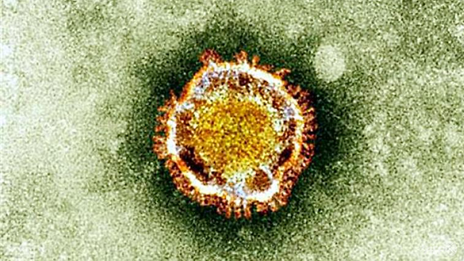 Setelah 3 Tahun, Korea Selatan Kembali Diserang Virus Penyakit MERS!