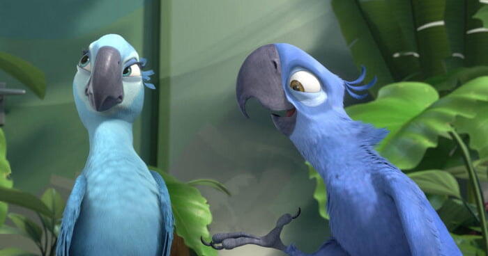 Burung Biru di Film Rio Dinyatakan Punah di Alam Liar