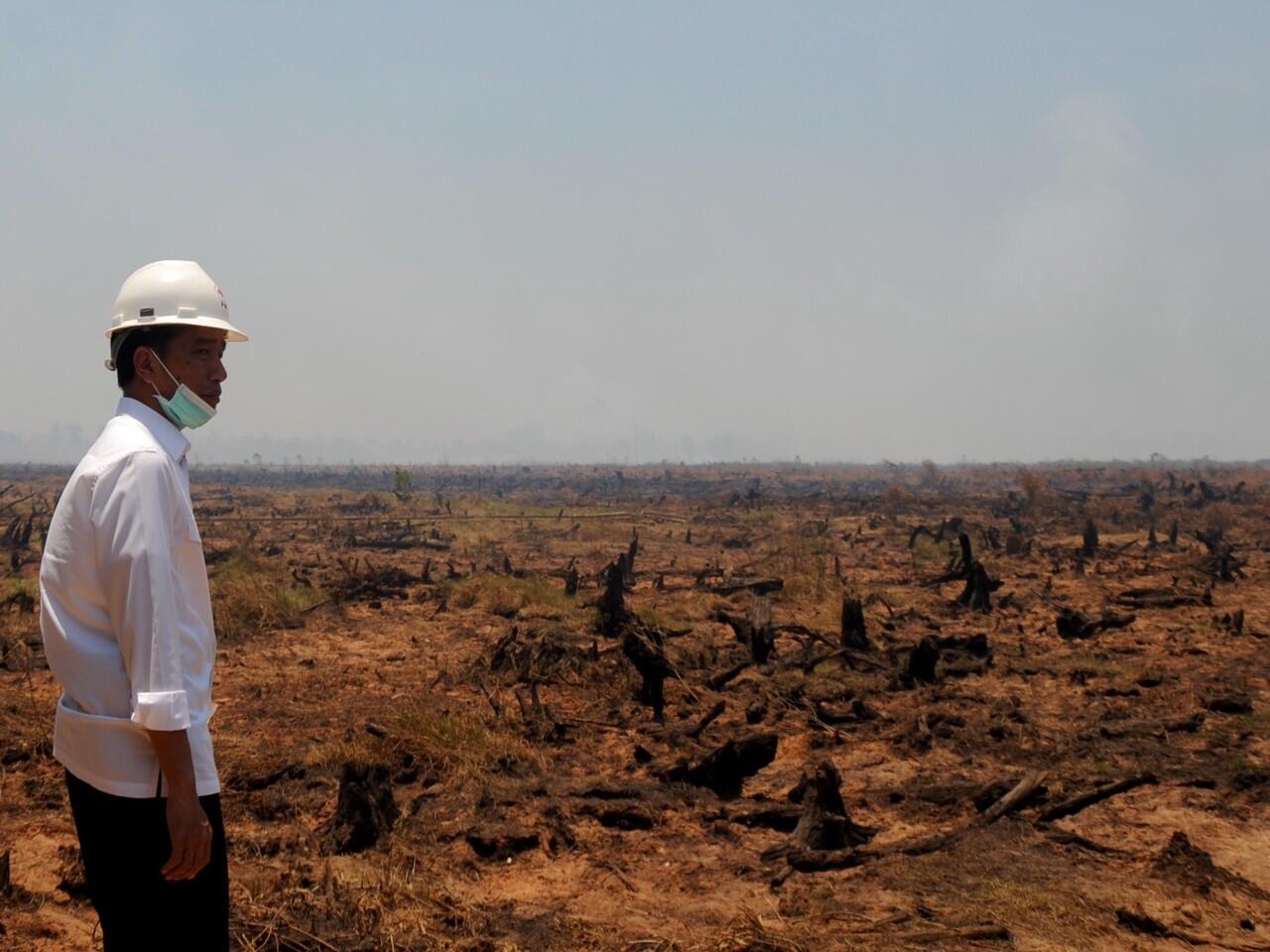 Kerja Keras Pemerintah ‘Gebuk’ Perusahaan Pembakar Hutan
