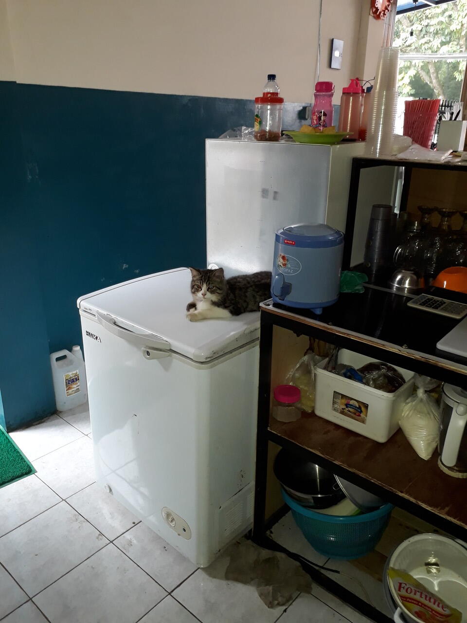 Cari partner usaha kuliner