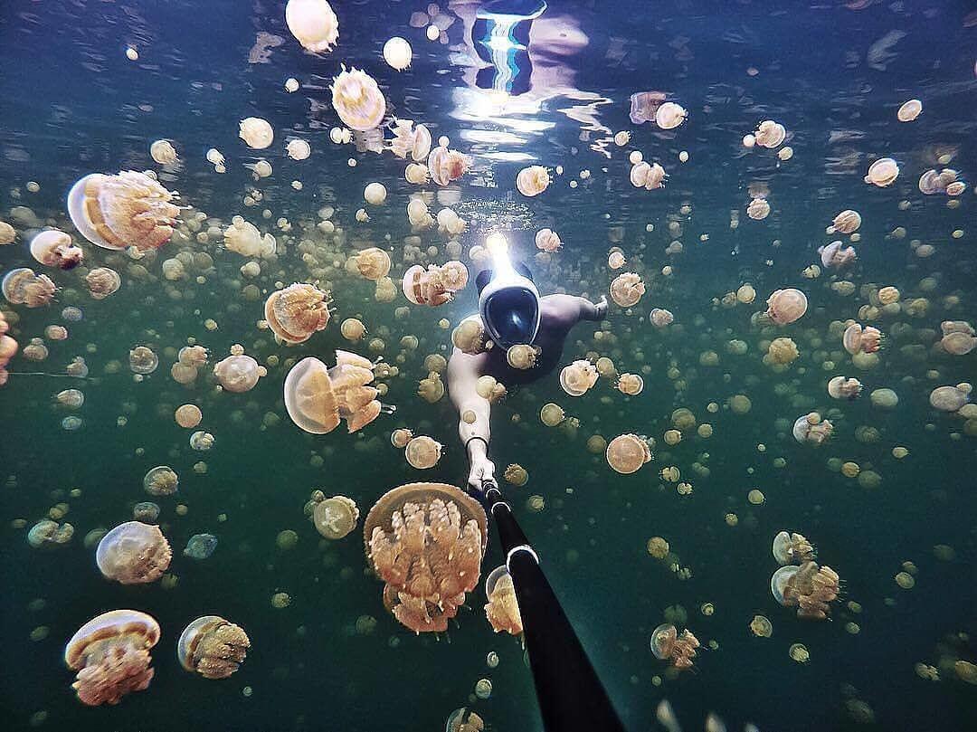 5 Destinasi Wisata Eksotis di Kalimantan Timur, Indah dan Bikin Betah!