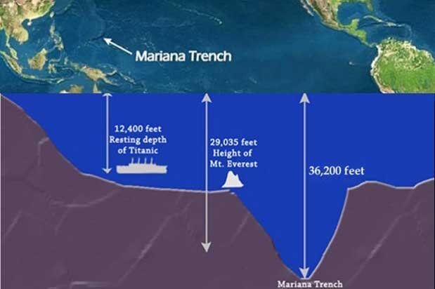 Peneliti Temukan 3 Spesies Ikan Aneh di Dasar Laut Samudra Pasifik