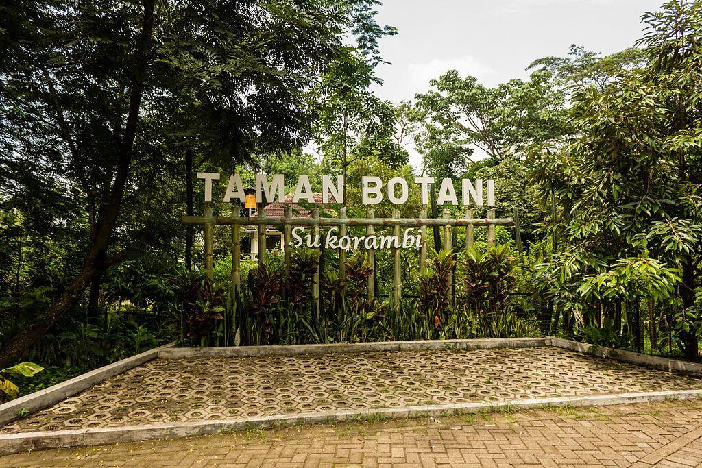 Liburan ke Jember, Wajib Hukumnya Kunjungi 5 Tempat Wisata Ini