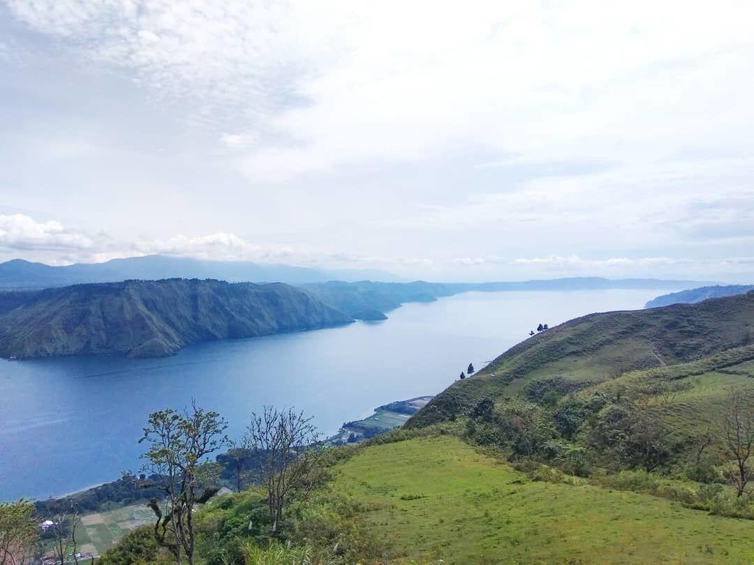 3 Penyebab Mengapa 200 Ton Ikan Mati di Danau Toba Tahun Ini