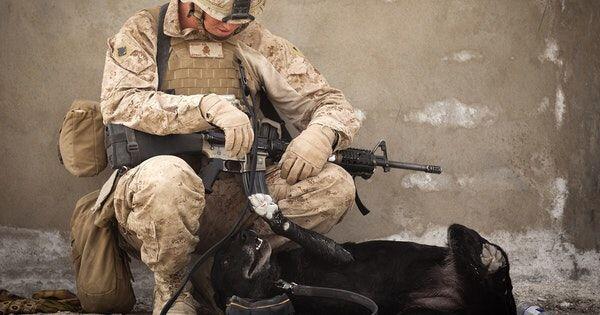 Susah Tidur? Coba Terapkan Teknik Tidur ala Tentara Amerika