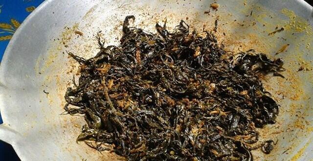 15 Jenis Rendang Paling Enak di Dunia, Ada yang Crispy Gak Ya?
