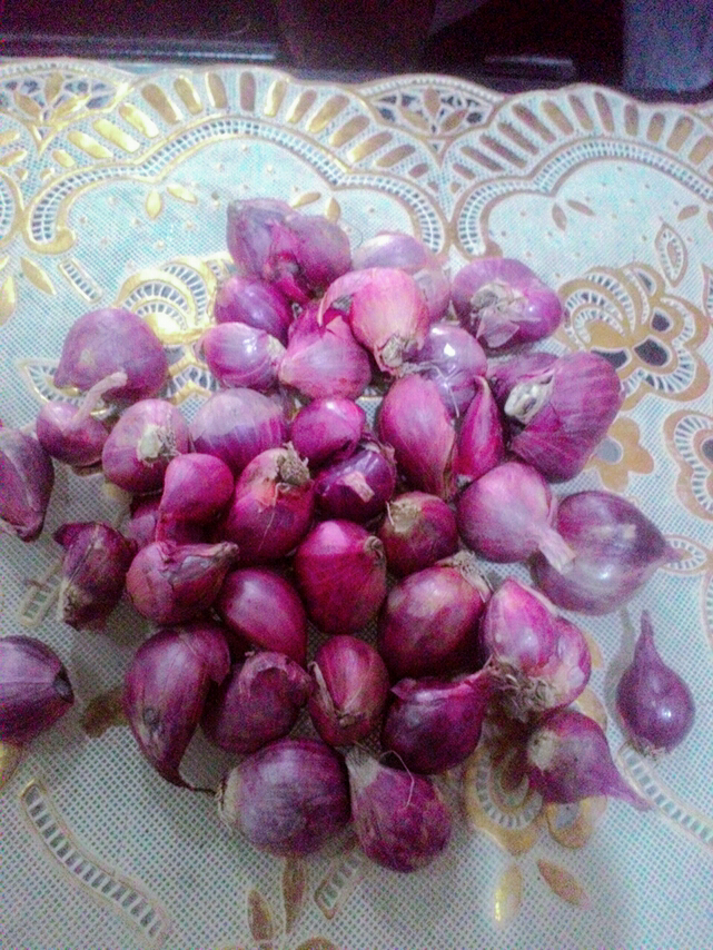 BAWANG MERAH SUPER BREBES NO TIPU2