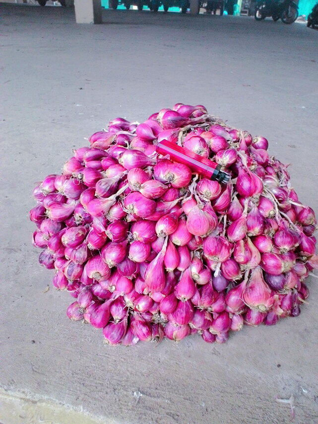 BAWANG MERAH SUPER BREBES NO TIPU2
