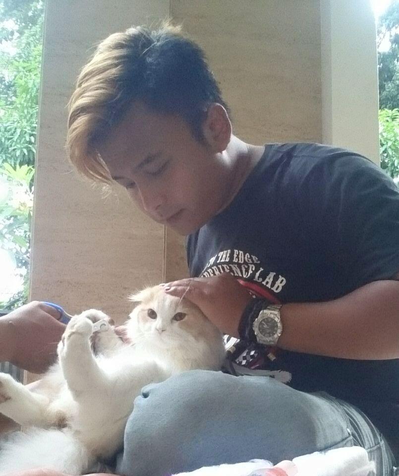 Pet grooming
