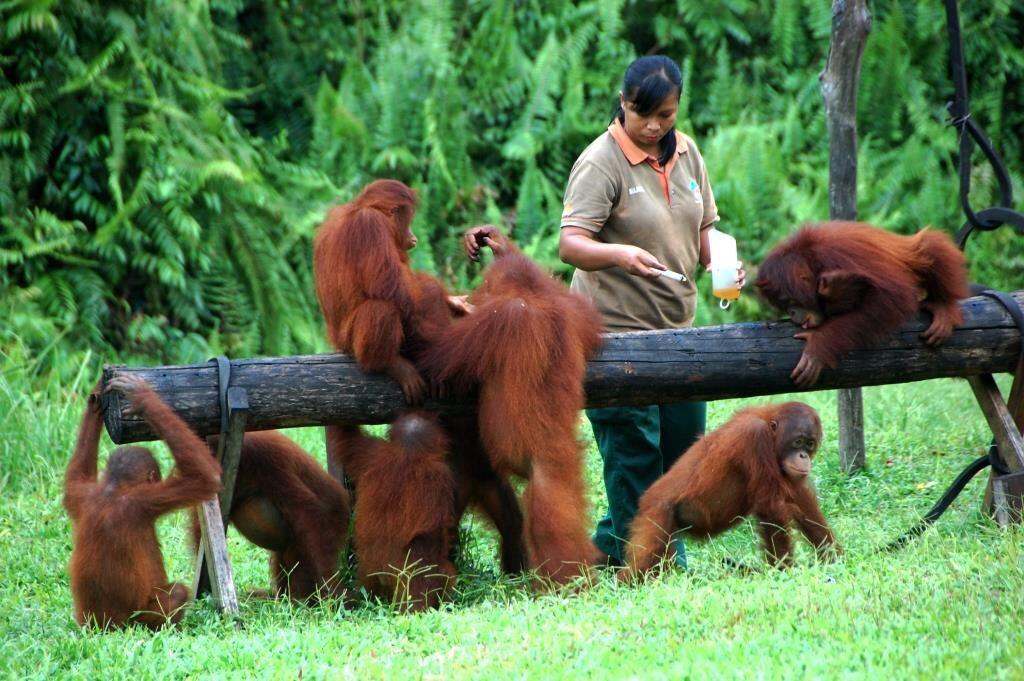 5 Destinasi Seru di Palangka Raya yang Gak Boleh Terlewatkan