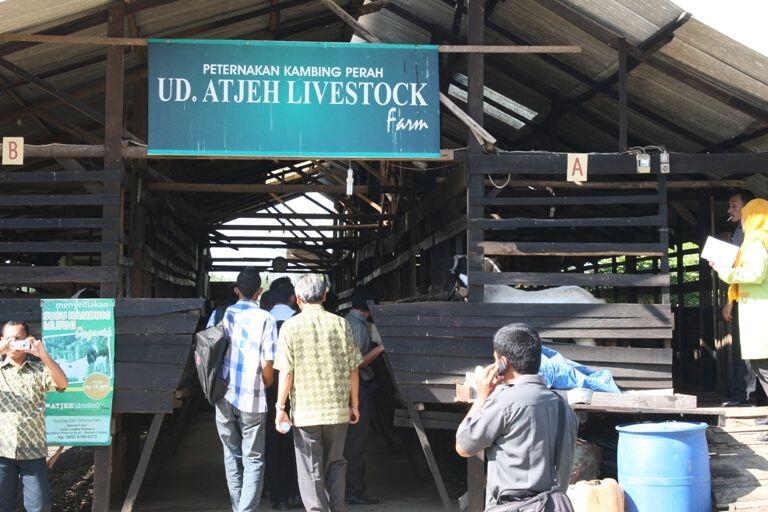 Jadi Tren Edutour, 7 Peternakan Ini Wajib Dikunjungi Kala Liburan