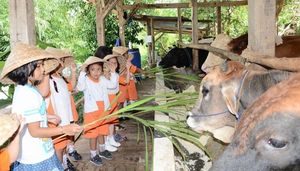 Jadi Tren Edutour, 7 Peternakan Ini Wajib Dikunjungi Kala Liburan