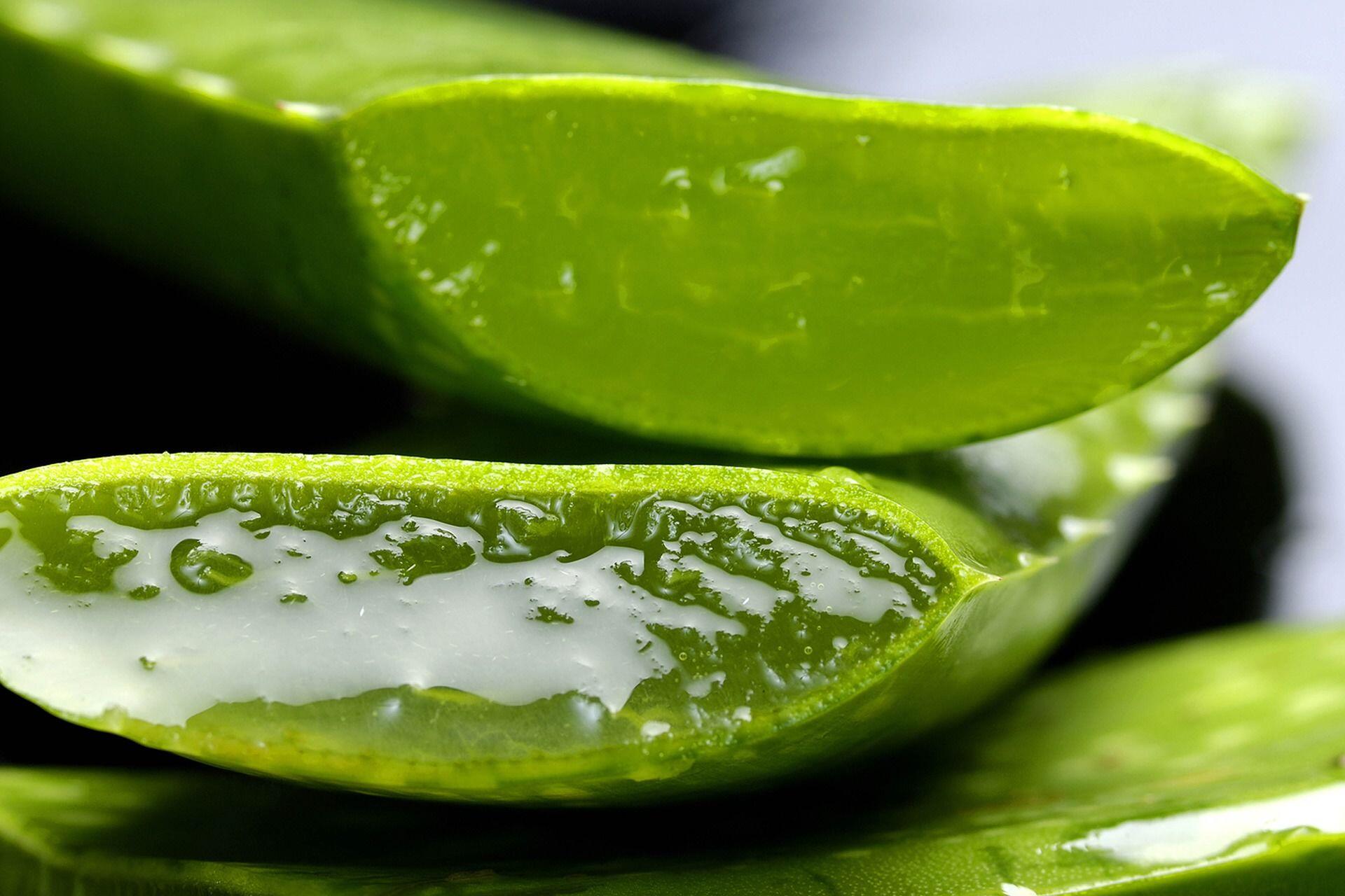 Mudah Banget, Ini 10 Cara Efektif Hilangkan Komedo dengan Bahan Alami