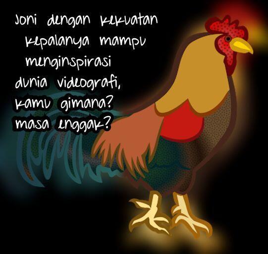Chicken VS Stabilizer ? Amazing, Ternyata Ayam Jago Videography Gan !!