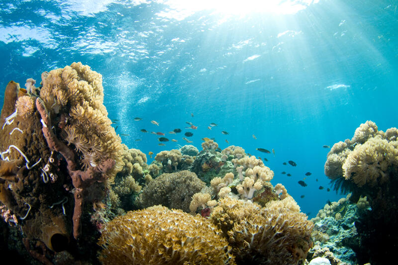 14 Tempat Bulan Madu yang Bikin Kalian Makin Mesra, Selain Bali
