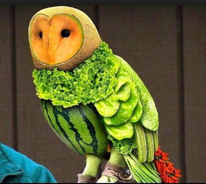 11 Kreasi Seni Buah Ini Luar Biasa Keren, Gak Tega buat Makannya!