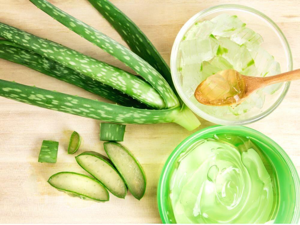 7 Manfaat Tersembunyi Aloe Vera Gel, Skincare Favorit Millenials