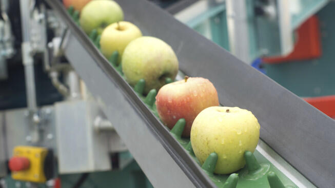 Polyurethane Elastomer Erapol - Food Grade
