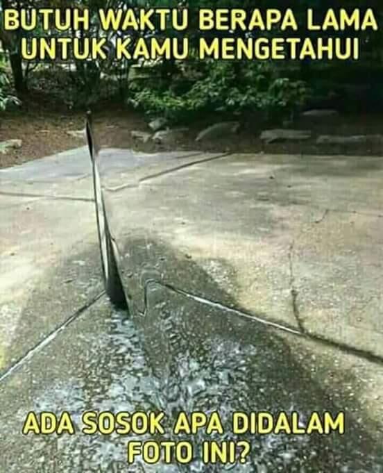 tebak gambar 