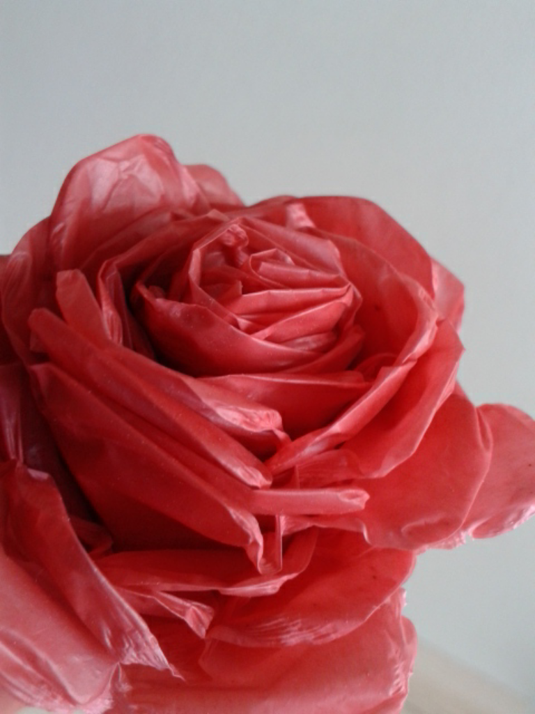 &#91;COC DIY&#93; Bunga Cantik Dari Kantong Plastik