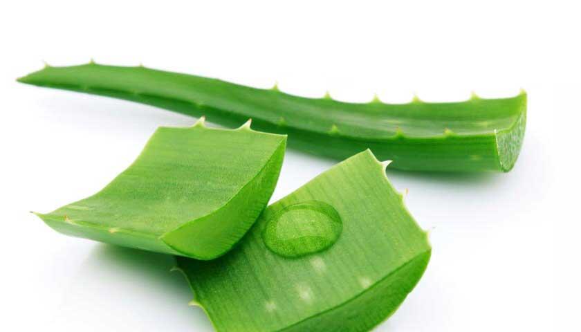 10 Cara Menghilangkan Bekas Jerawat Terbaik dengan Masker  