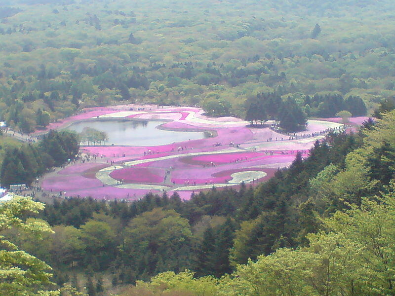 Danau-Danau Di Fujigoko: Danau Yamanakako, Saiko, Motosuko, Dan Shojiko