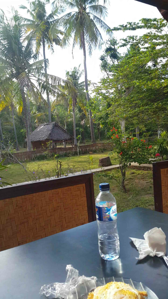 MENIKMATI SEKILAS KEINDAHAN PULAU NUSA PENIDA