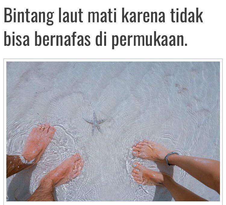 Wulan Guritno Foto di Pantai, Kasihan Bintang Lautnya