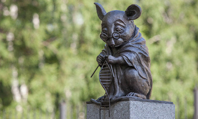 Monumen Hewan Yang Dibuat Layaknya Seorang Pahlawan