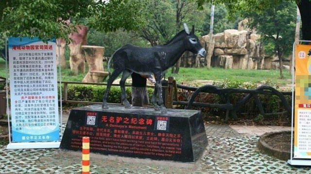 Monumen Hewan Yang Dibuat Layaknya Seorang Pahlawan