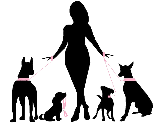 &#91;COC&#93; Pamerin Pets Lo dan Kasih Tips Perawatannya #AslinyaLo