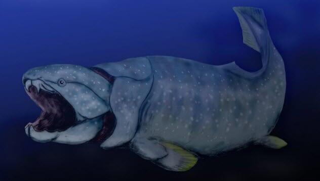 Dunkleosteus : Predator Laut Mematikan Zaman Purba