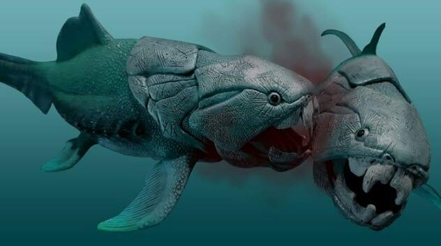 Dunkleosteus : Predator Laut Mematikan Zaman Purba