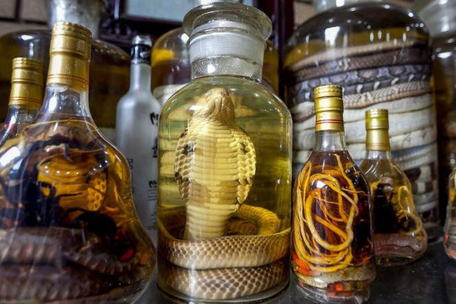 Kumis hingga Kencing Sapi, 15 Minuman Ekstrem yang Konon Berkhasiat