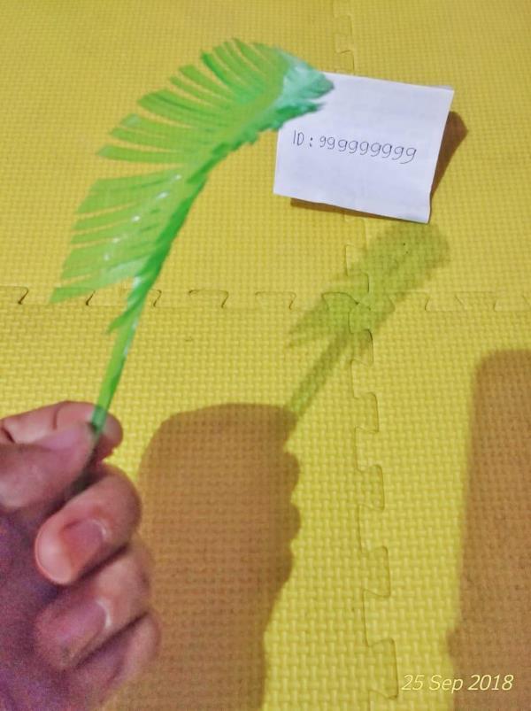 Yuk Manfaatkan Botol Bekas Jadi Bunga Plastik nan Cantik