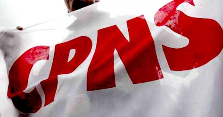 Begini Nih Caranya Supaya Berhasil Daftar Online CPNS 2018