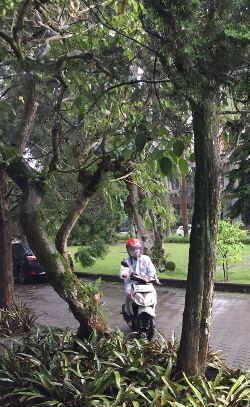It Works di Vario Gue, Penyakit Starter Macet dan Solusinya #AslinyaLo