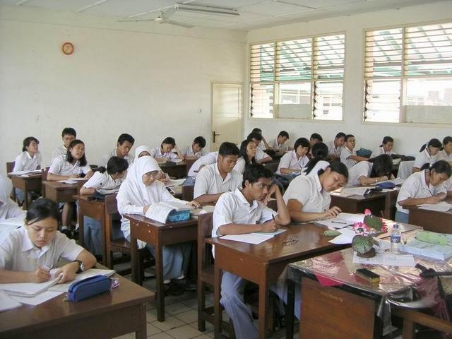 Dari kecil sampai sekarang masih aja molor, tapi kok jadi programmer ya ???