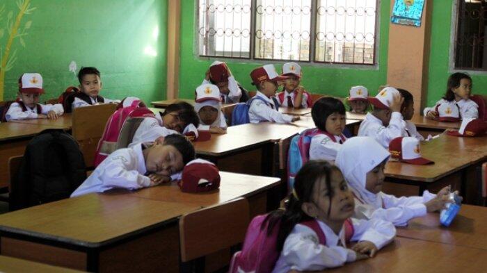 Dari kecil sampai sekarang masih aja molor, tapi kok jadi programmer ya ???