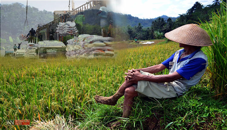 Kegagalan Jokowi di Bidang Pertanian dan Swasembada Pangan