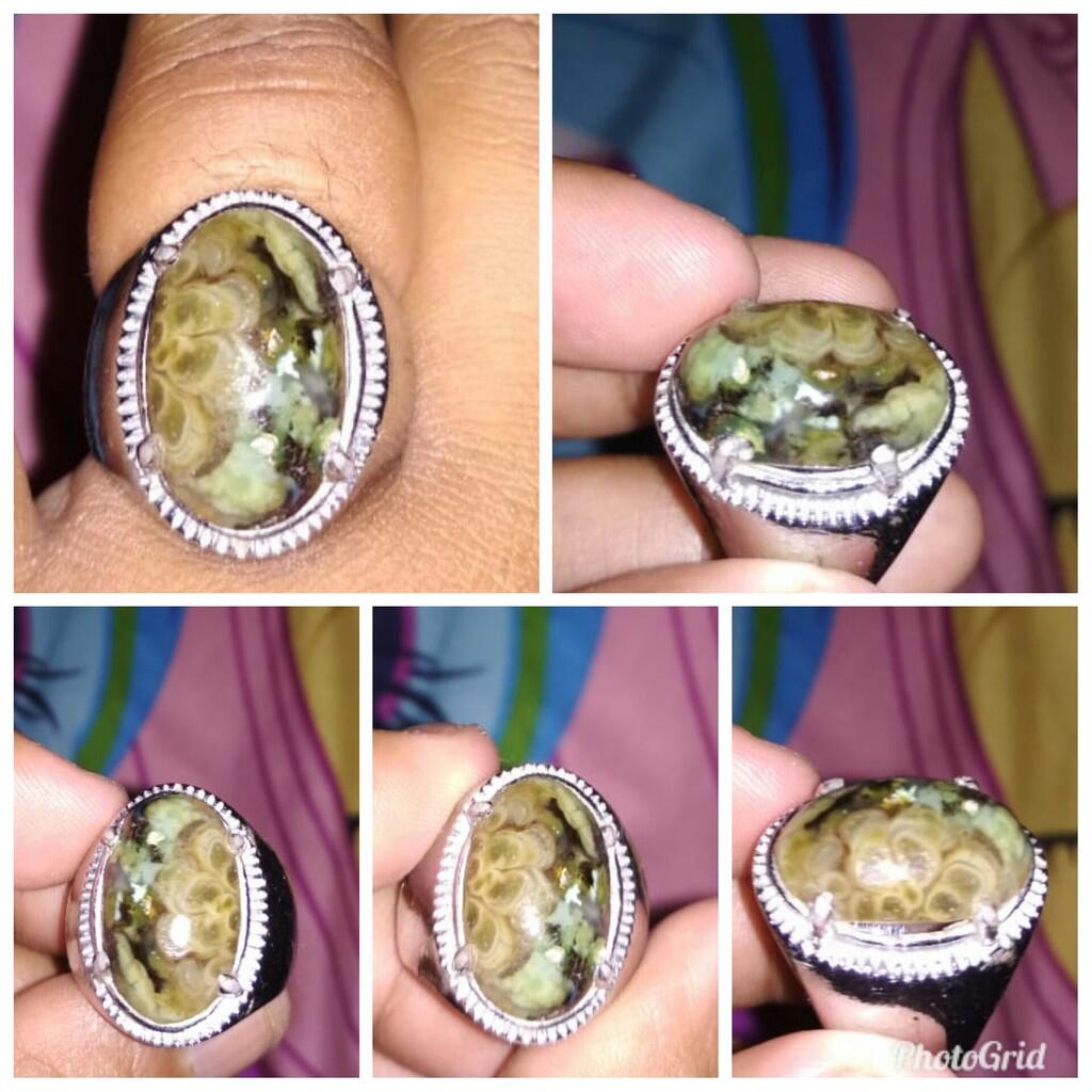 Lelang singkat sampai nanti malam 20-10-2018 22.00