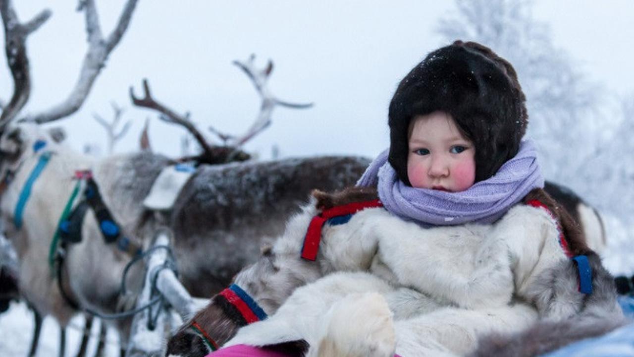 5 Hewan Ini Konon Punya Kekuatan Spiritual yang Dekatkan Manusia dengan Alam